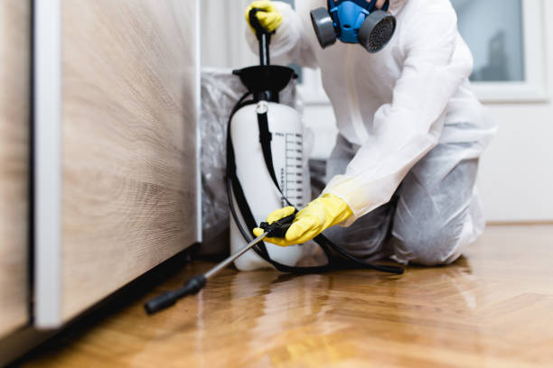 Best Ant Control Services  in Fulton, IL