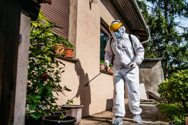Best Residential Pest Control  in Fulton, IL