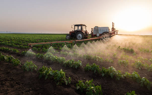 Best Wildlife Control Services  in Fulton, IL