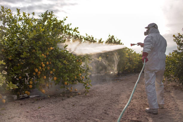Best Local Pest Control Services  in Fulton, IL