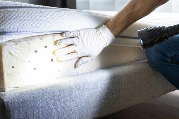 Best Affordable Pest Control Services  in Fulton, IL