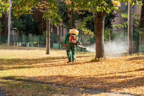Wasp Removal Services in Fulton, IL