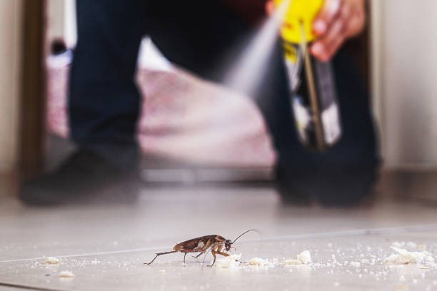 Pest Control for Restaurants in Fulton, IL