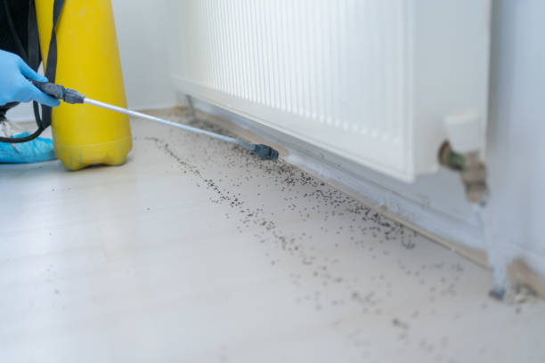 Best Pest Prevention Services  in Fulton, IL