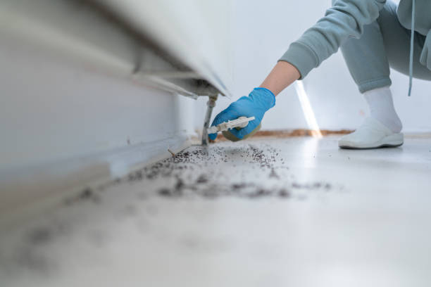 Best Mosquito Control Services  in Fulton, IL